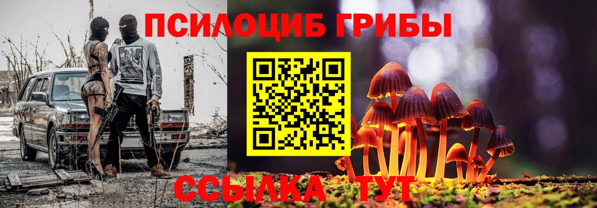 Галлюциногенные грибы Psilocybine cubensis  наркота  Раменское  Вход с VPN 
